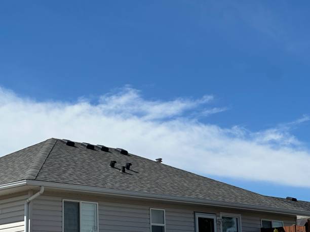 Best Rubber Roofing (EPDM, TPO)  in Greenbriar, VA